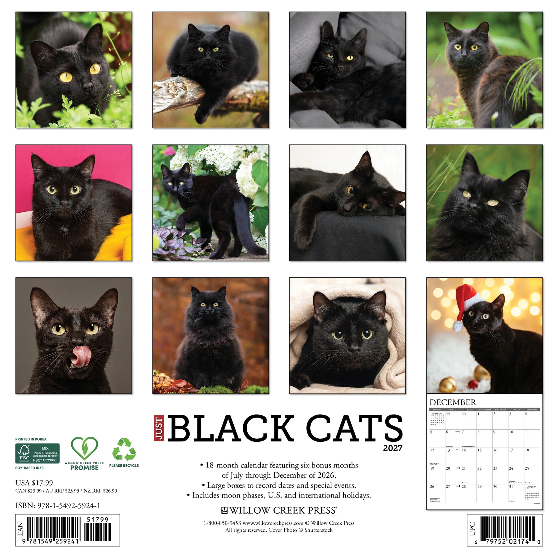 Willow Creek Press - 2027 Black Cats Calendar
