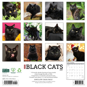 Willow Creek Press - 2027 Black Cats Calendar