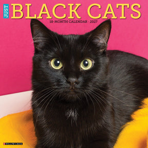 Willow Creek Press - 2027 Black Cats Calendar
