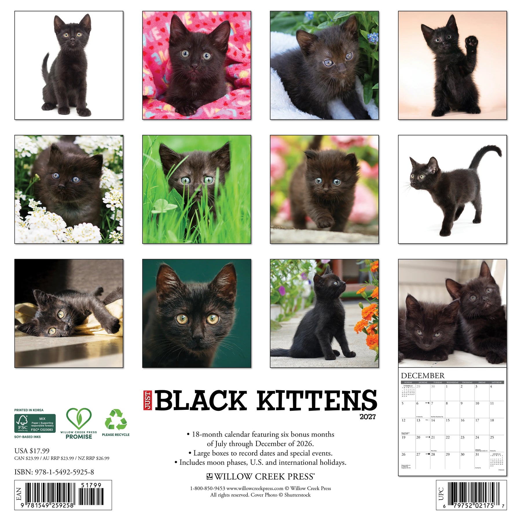 Willow Creek Press - 2027 Black Kittens Calendar
