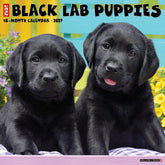 Willow Creek Press - 2027 Black Lab Pups Calendar