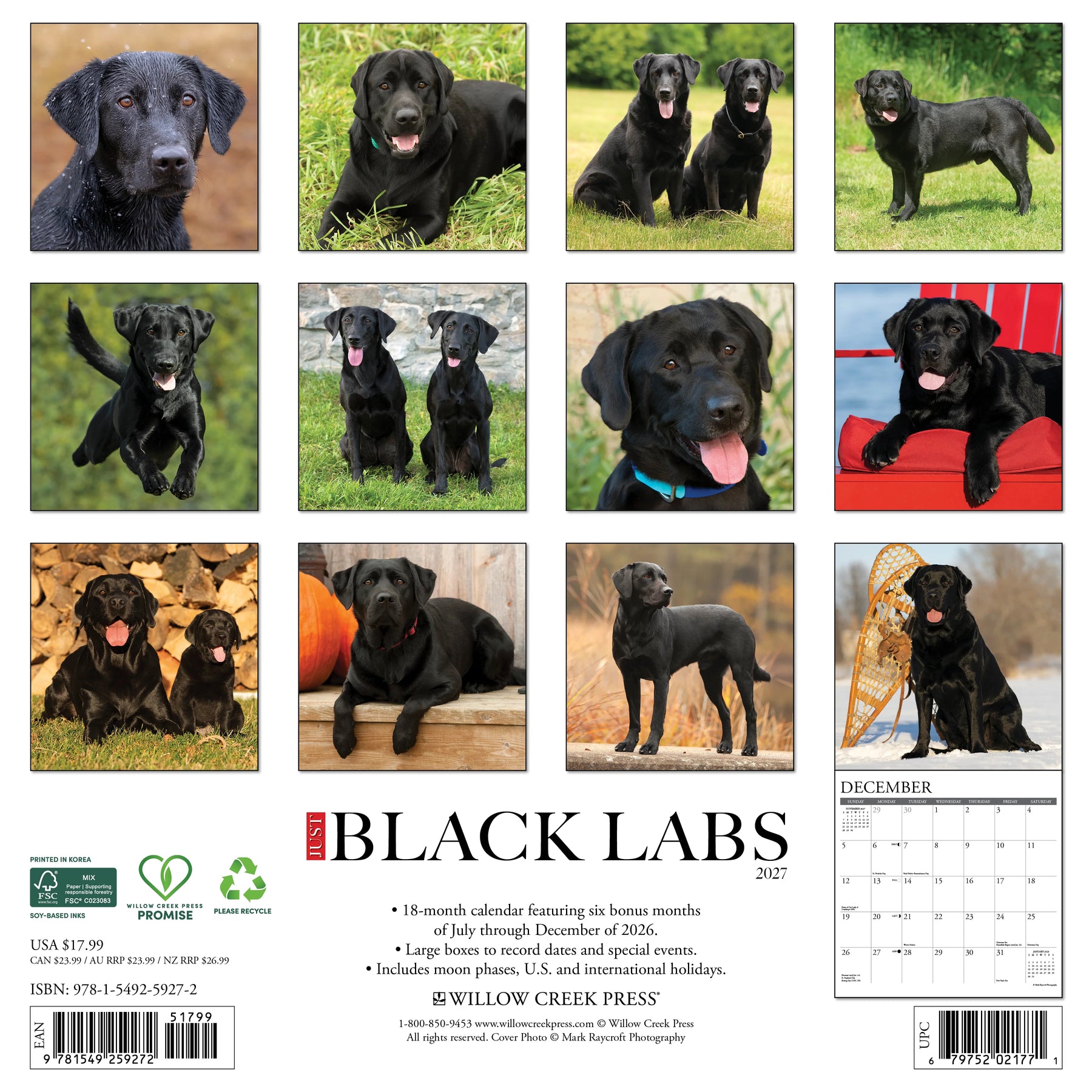 Willow Creek Press - 2027 Black Labs Calendar
