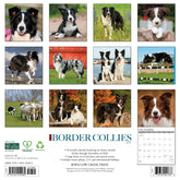 Willow Creek Press - 2027 Border Collies Calendar