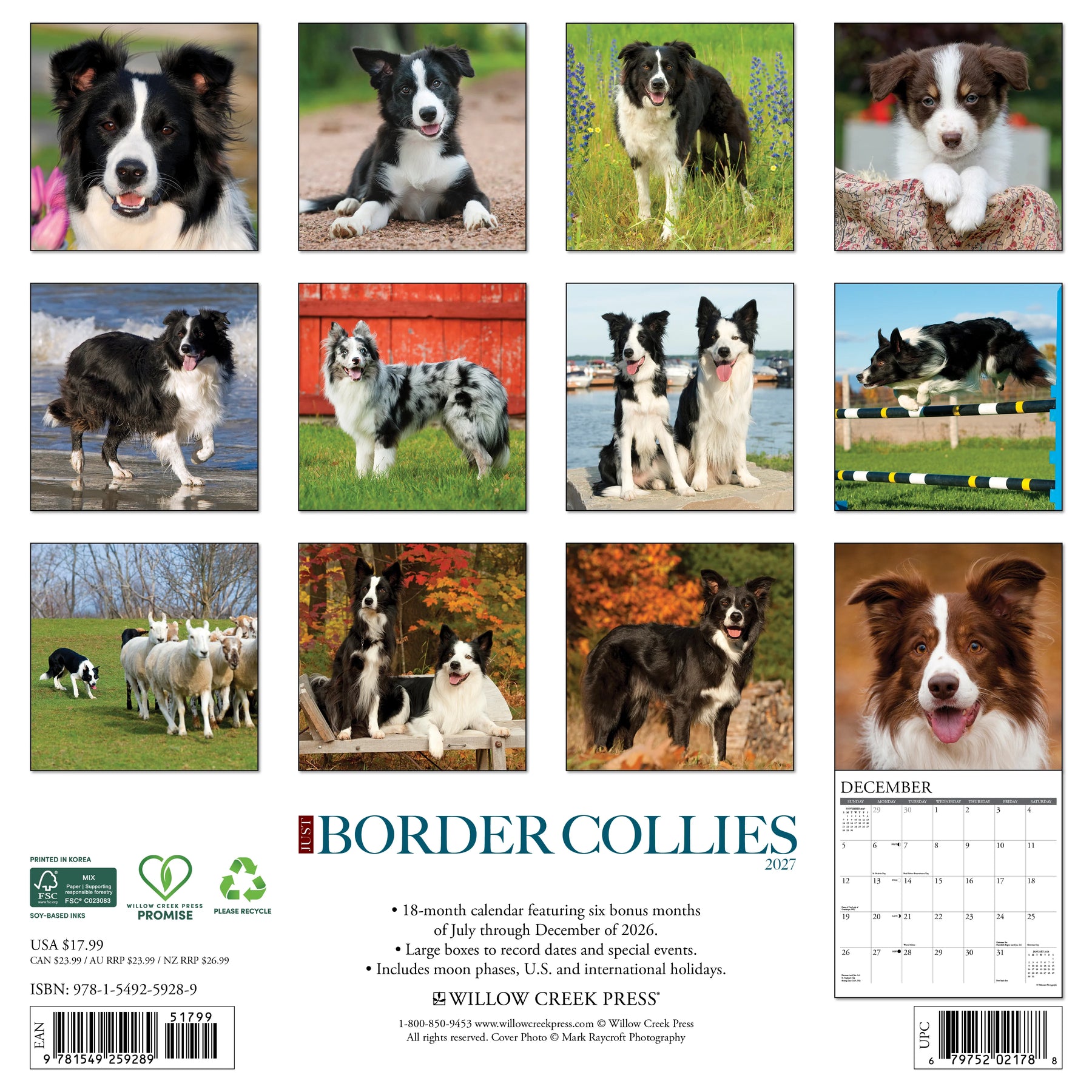 Willow Creek Press - 2027 Border Collies Calendar