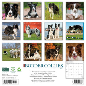 Willow Creek Press - 2027 Border Collies Calendar