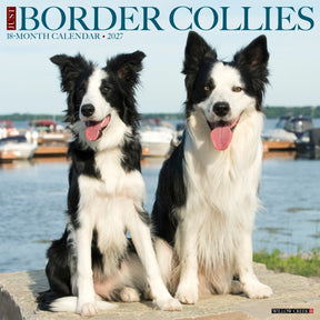 Willow Creek Press - 2027 Border Collies Calendar