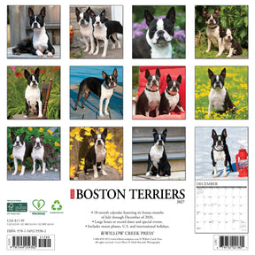 Willow Creek Press - 2027 Boston Terriers Calendar