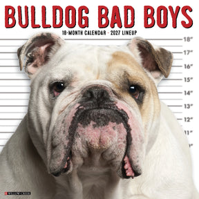 Willow Creek Press - 2027 Bulldog Bad Boys Calendar