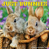 Willow Creek Press - 2027 Bunnies Calendar