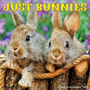 Willow Creek Press - 2027 Bunnies Calendar
