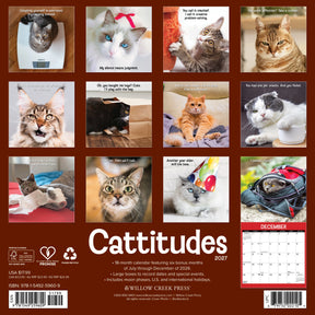 Willow Creek Press - 2027 Cattitudes Calendar