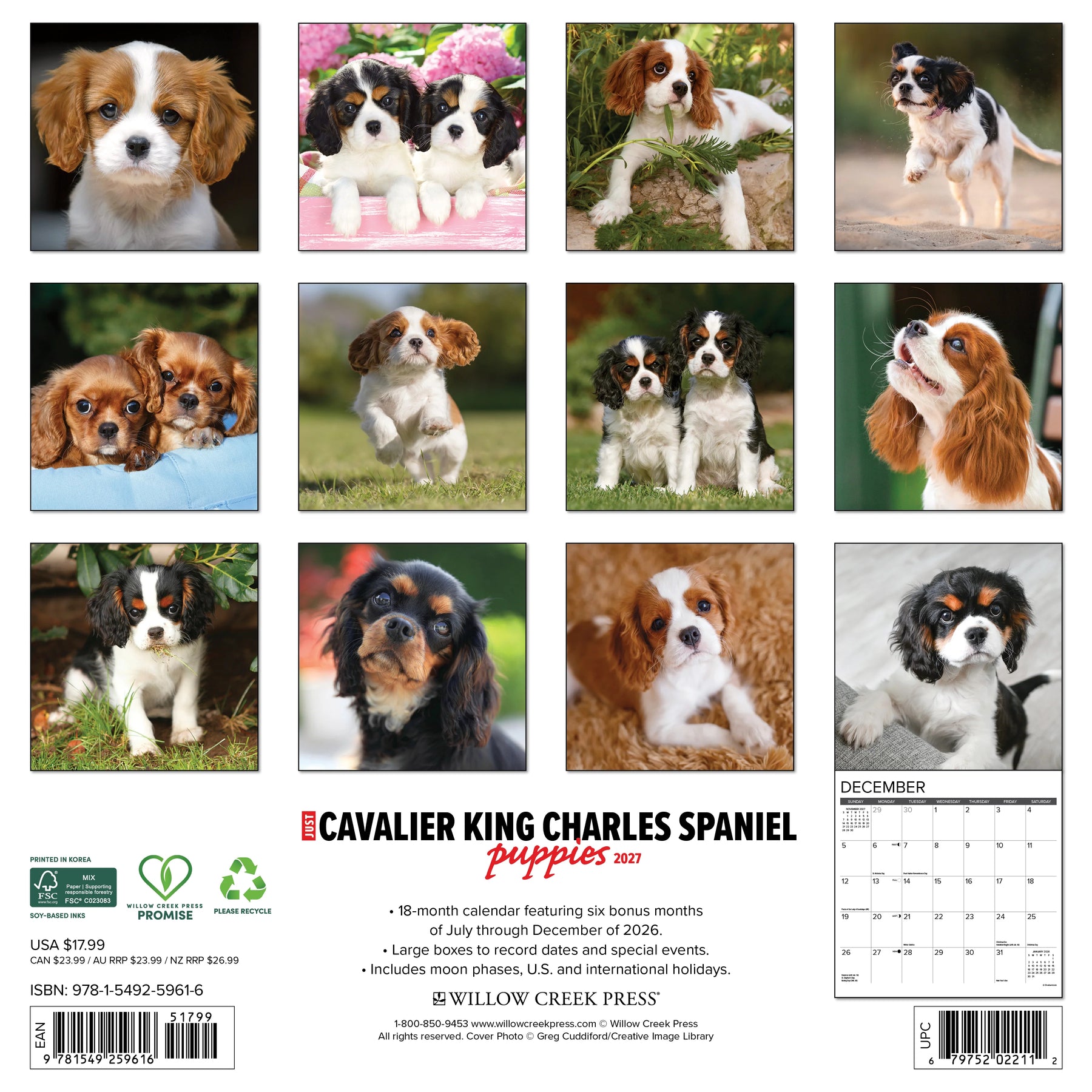 Willow Creek Press - 2027 Cavalier King Charles Pups Calendar