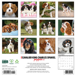 Willow Creek Press - 2027 Cavalier King Charles Pups Calendar