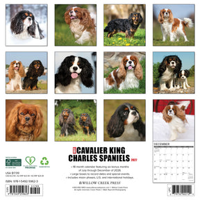 Willow Creek Press - 2027 Cavalier King Charles Spaniels Calendar