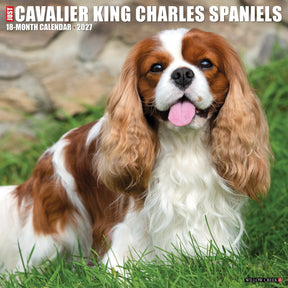 Willow Creek Press - 2027 Cavalier King Charles Spaniels Calendar