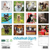 Willow Creek Press - 2027 Chihuahua Rules Calendar