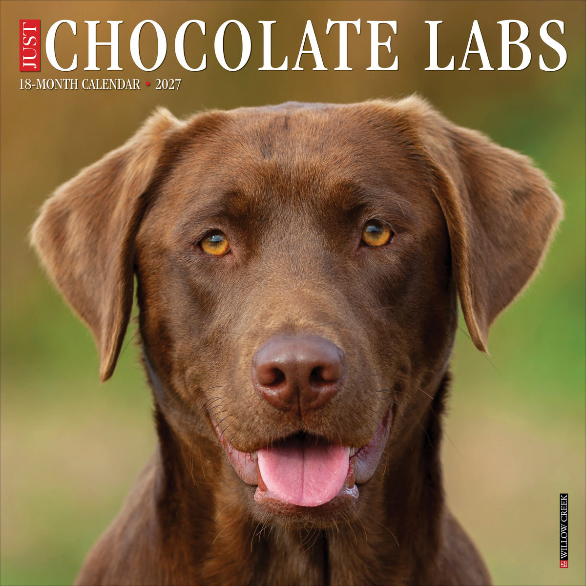 Willow Creek Press - 2027 Chocolate Labs Calendar