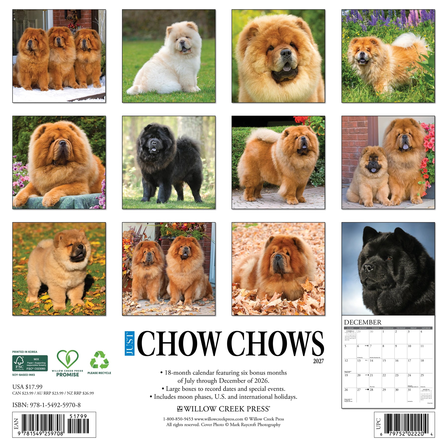 Willow Creek Press - 2027 Chow Chows Calendar