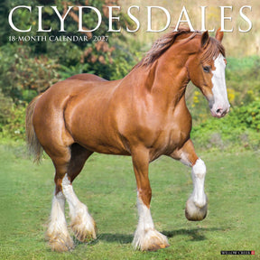 Willow Creek Press - 2027 Clydesdales Calendar