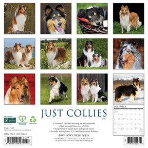Willow Creek Press - 2027 Collies Calendar