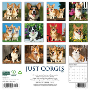 Willow Creek Press - 2027 Corgis Calendar