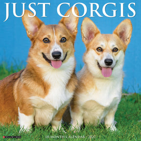 Willow Creek Press - 2027 Corgis Calendar