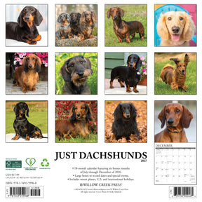 Willow Creek Press - 2027 Dachshunds Calendar