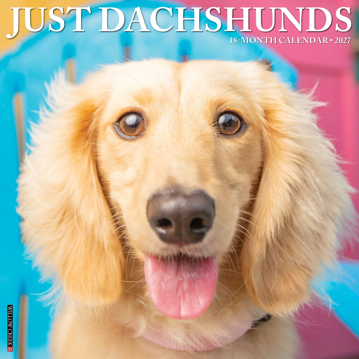 Willow Creek Press - 2027 Dachshunds Calendar