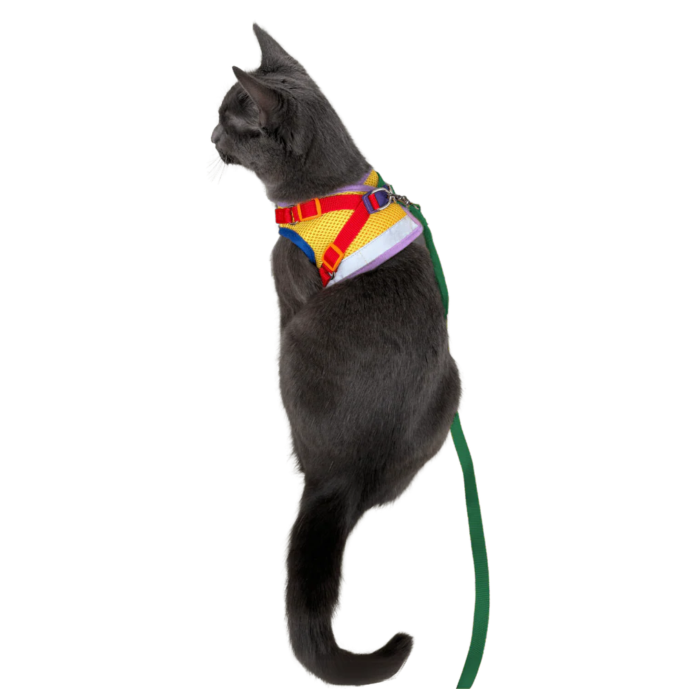 Travel Cat - Harness & Leash Set - "The Rainbow"