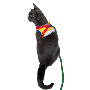 Travel Cat - Harness & Leash Set - "The Rainbow"