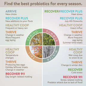 Perdue - Flock Leader Healthy Coop for Chickens