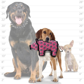 Tuffy Dog Toys - Barnyard Pig