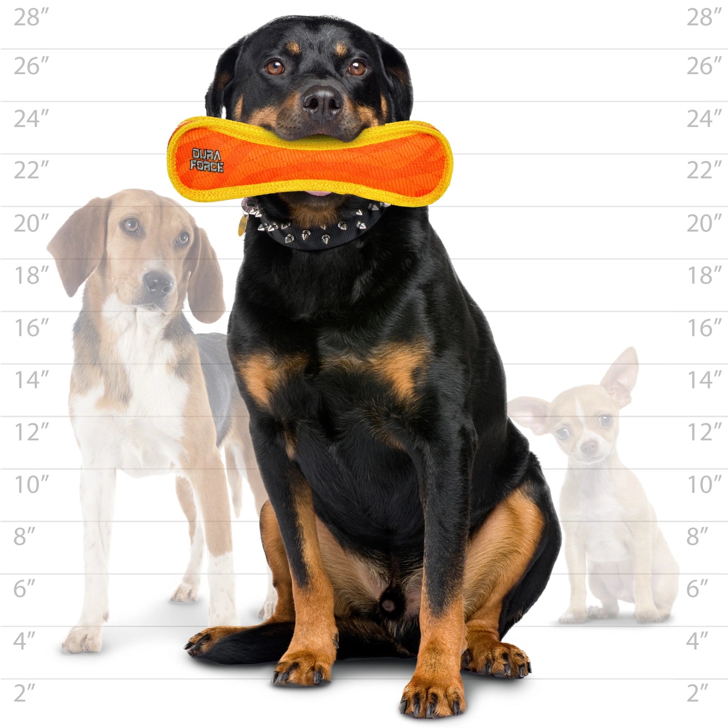 Tuffy Dog Toys - DuraForce Bone Tiger