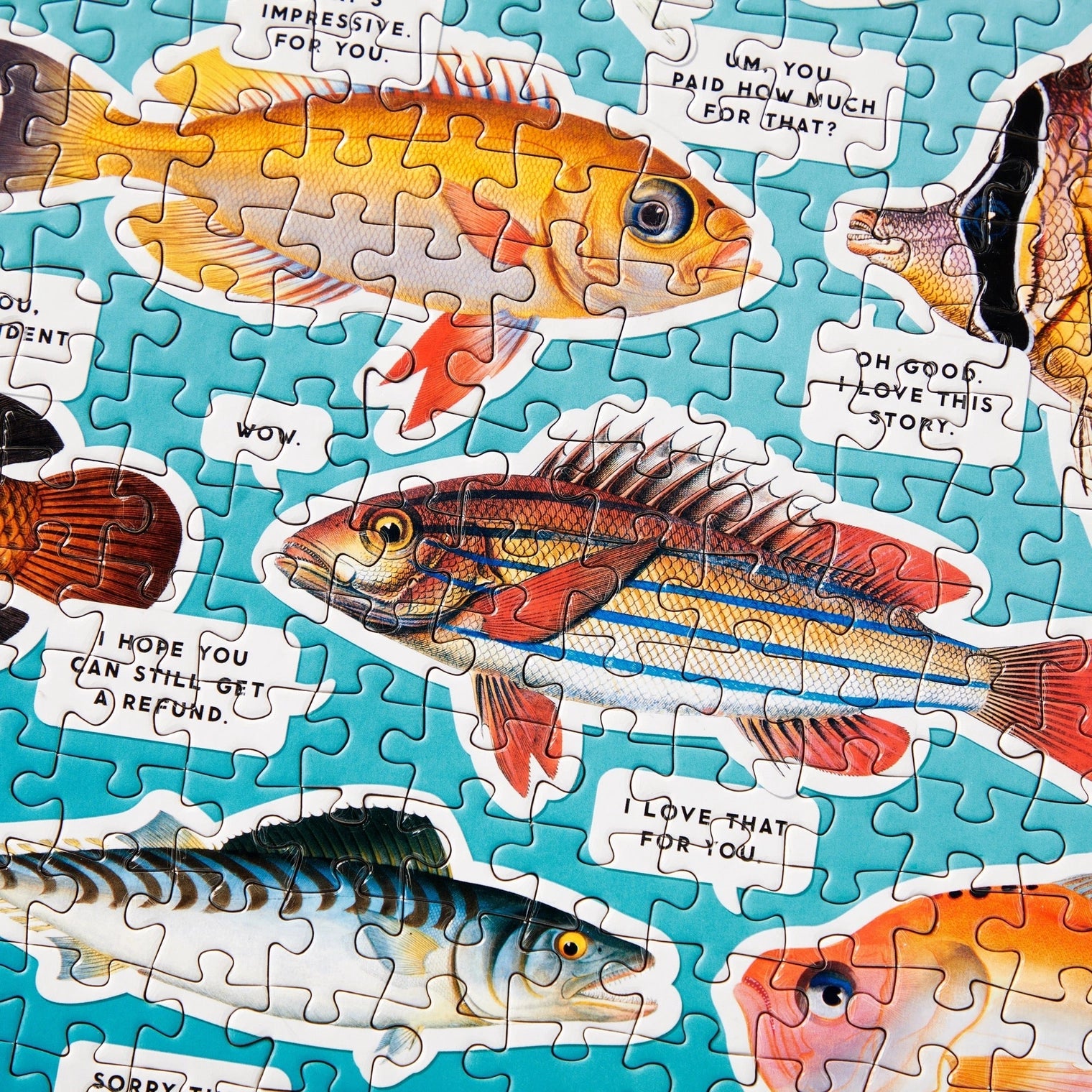 Chronicle-Hachette Book - Puzzle Brass Monkey Judgy Fish (1000 Piece)