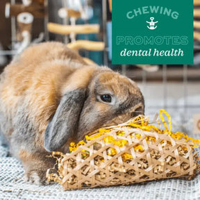 Oxbow - Enriched Life Celebration Party Pack Small Animal Chews by Oxbow