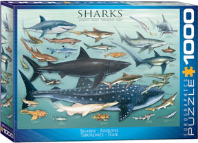 Eurographics Puzzles - Puzzle Sharks