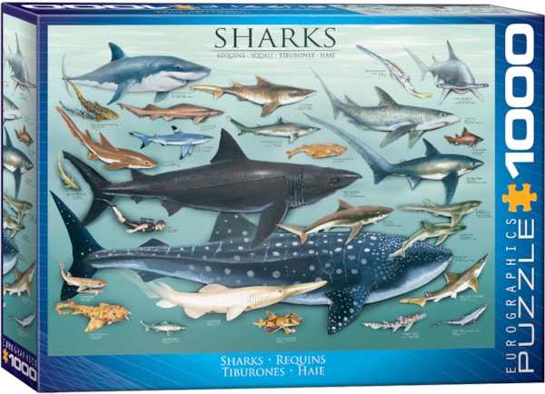 Eurographics Puzzles - Puzzle Sharks