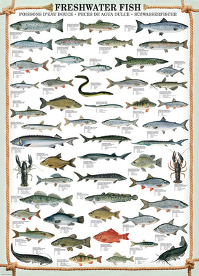 Eurographics Puzzles - Puzzle Fresh Water Fish