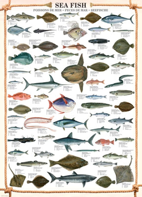 Eurographics Puzzles - Puzzle Sea Fish