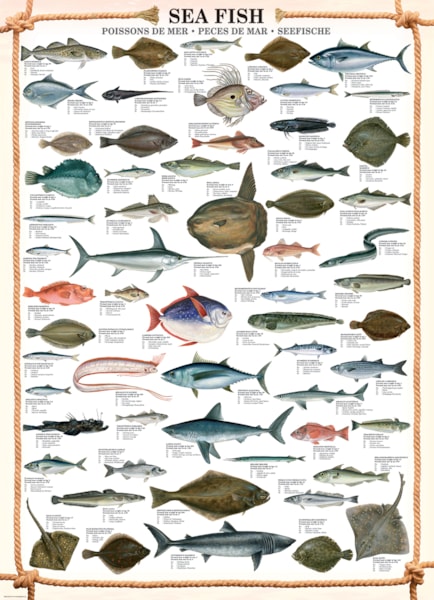Eurographics Puzzles - Puzzle Sea Fish