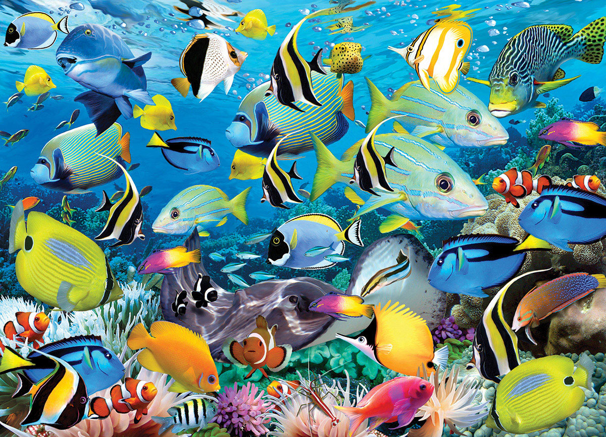 Eurographics Puzzles - Puzzle Ocean Colors
