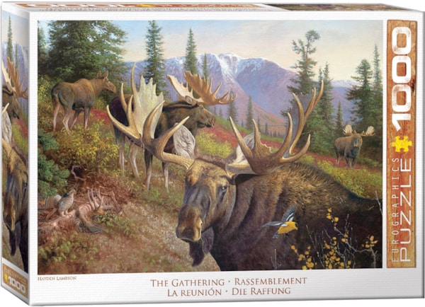 Eurographics Puzzles - Puzzle The Gathering