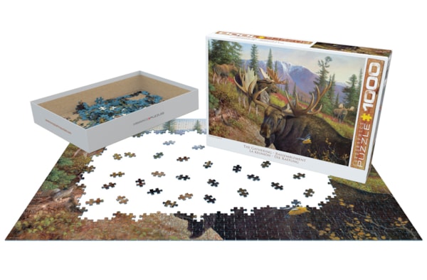 Eurographics Puzzles - Puzzle The Gathering