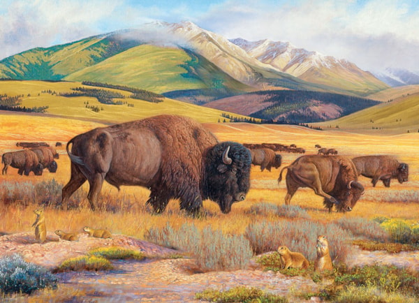 Eurographics Puzzles - Puzzle Roaming the Plains