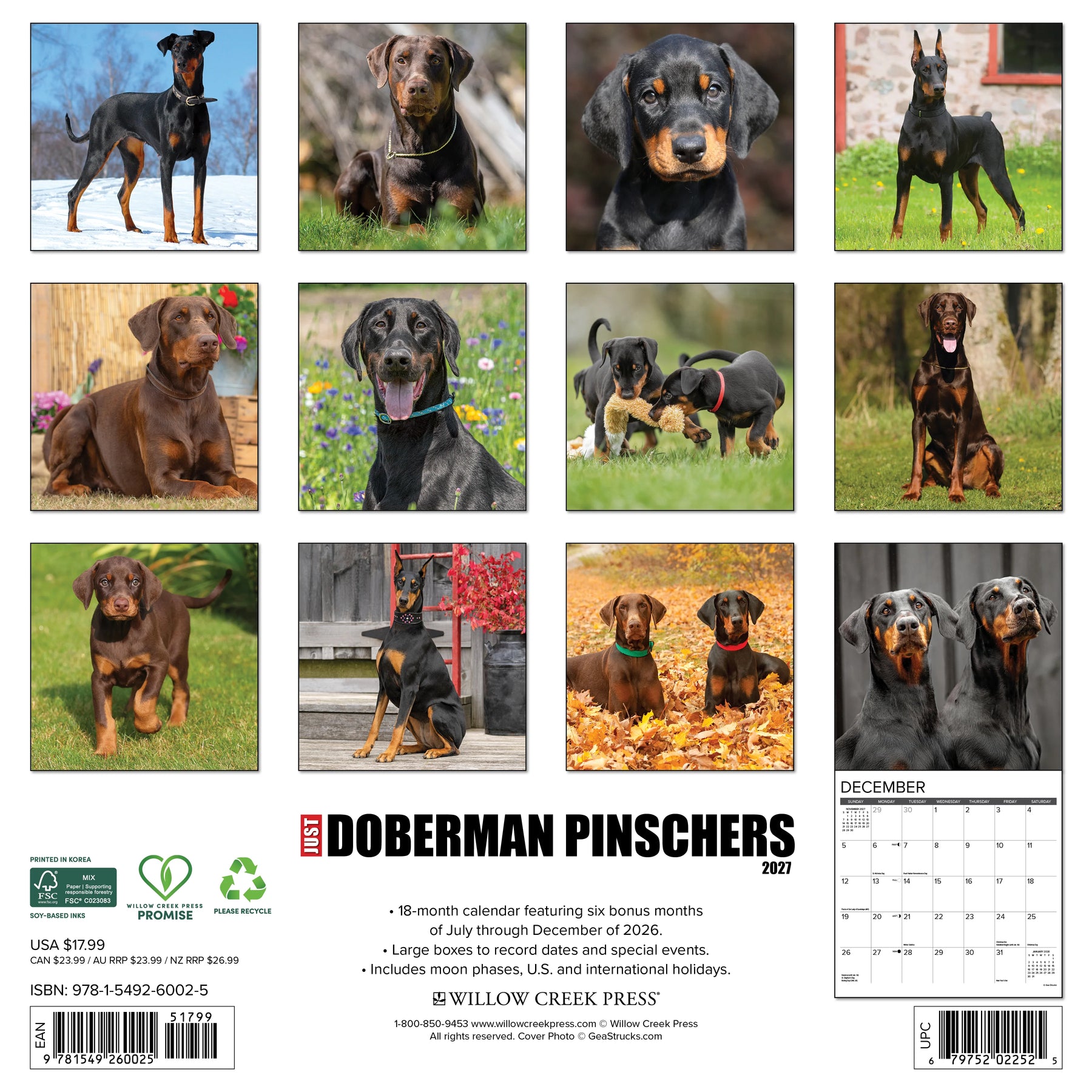 Willow Creek Press - 2027 Doberman Pinschers Calendar