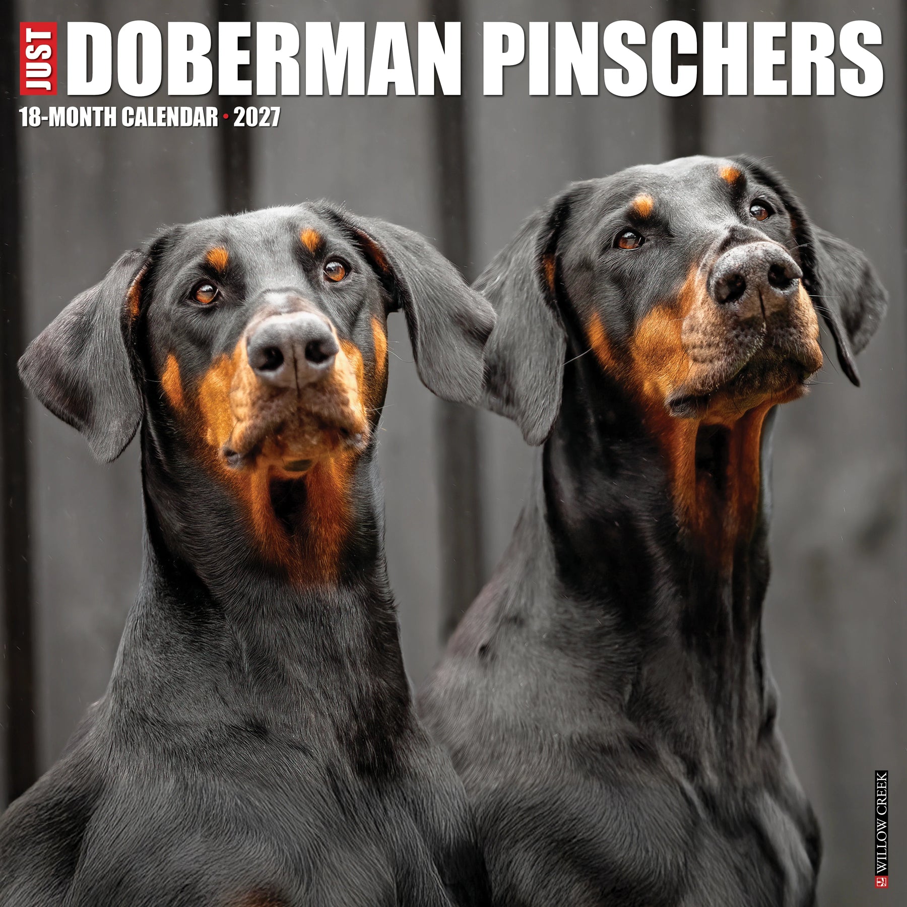 Willow Creek Press - 2027 Doberman Pinschers Calendar
