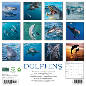 Willow Creek Press - 2027 Dolphins Calendar