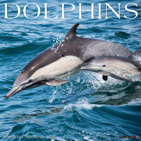Willow Creek Press - 2027 Dolphins Calendar