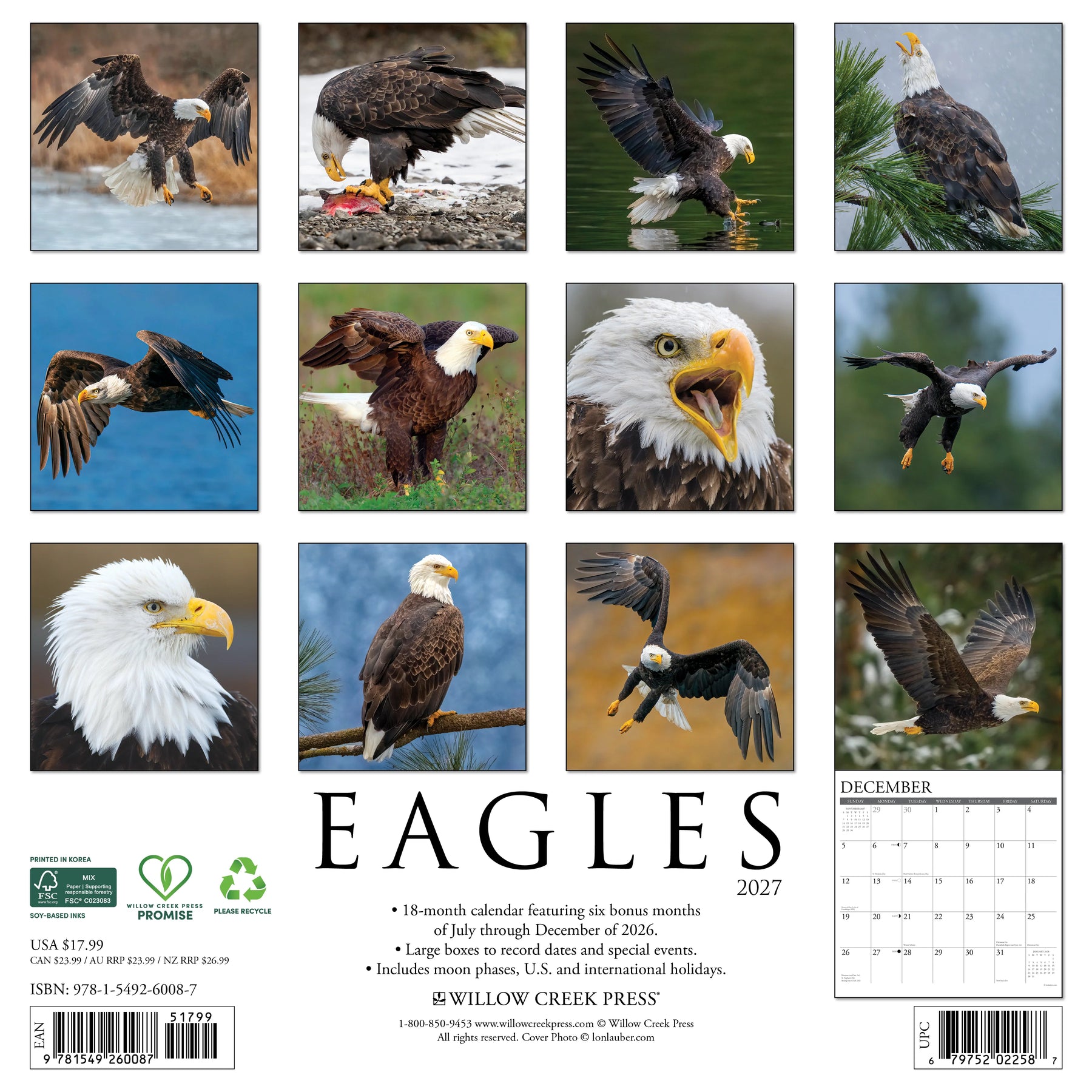 Willow Creek Press - 2027 Eagles Calendar