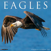 Willow Creek Press - 2027 Eagles Calendar